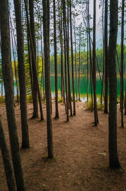 Banff photograph