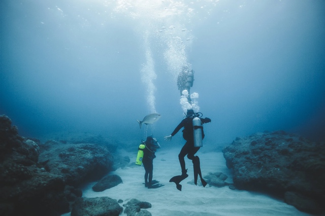 Banzai Divers Hawaii photograph