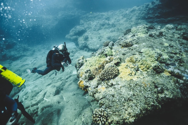 Banzai Divers Hawaii photograph