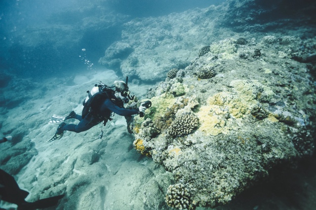 Banzai Divers Hawaii photograph