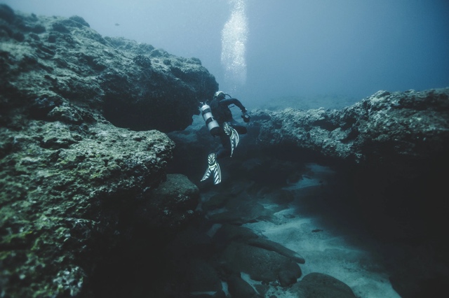 Banzai Divers Hawaii photograph