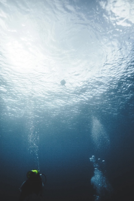 Banzai Divers Hawaii photograph