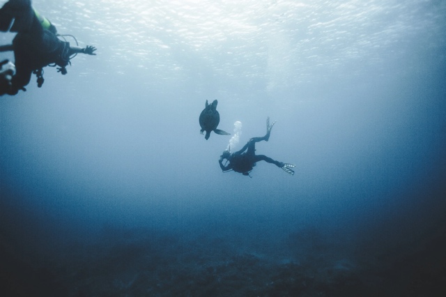 Banzai Divers Hawaii photograph