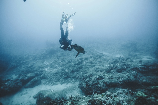 Banzai Divers Hawaii photograph