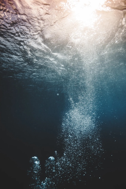 Banzai Divers Hawaii photograph
