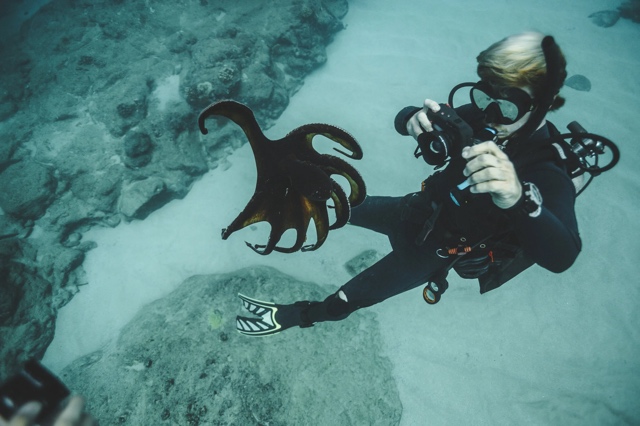 Banzai Divers Hawaii photograph