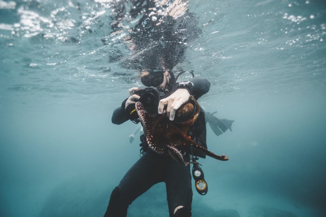 Banzai Divers Hawaii photograph