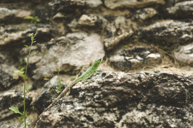 Belize photograph