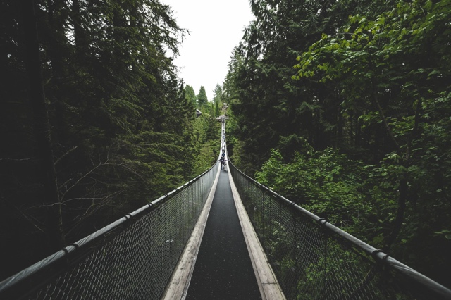 British Columbia, Canada photograph