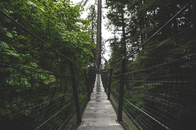 British Columbia, Canada photograph