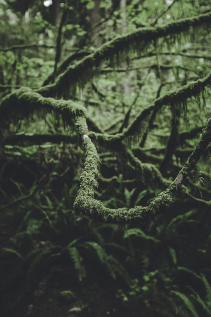 British Columbia, Canada photograph
