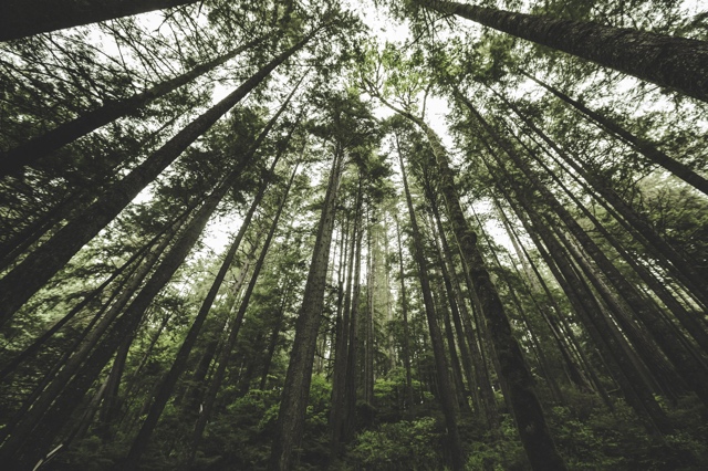 British Columbia, Canada photograph