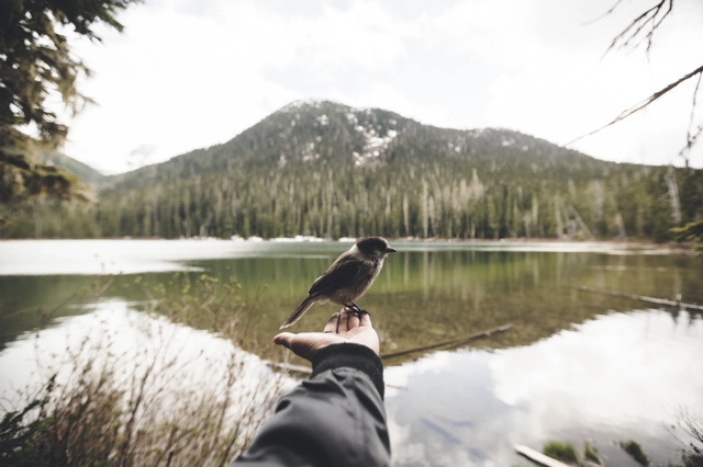 British Columbia, Canada photograph