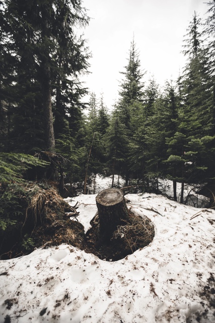 British Columbia, Canada photograph