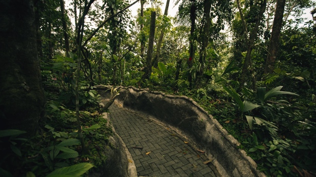 Costa Rica photograph