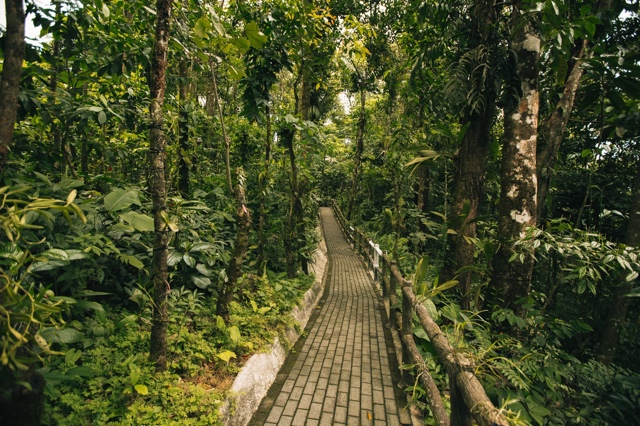 Costa Rica photograph