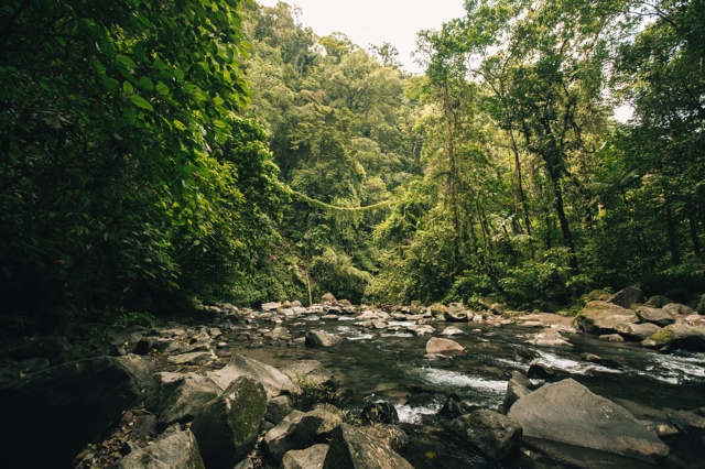 Costa Rica photograph