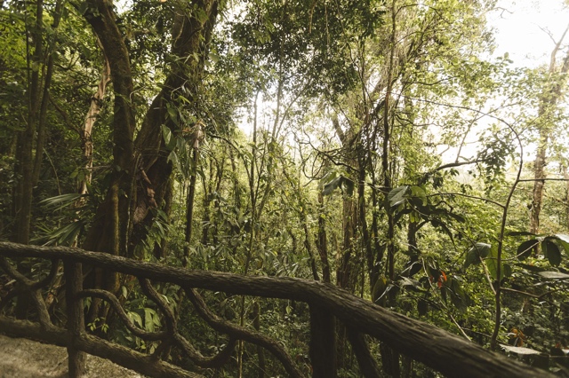 Costa Rica photograph