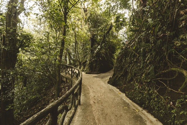 Costa Rica photograph