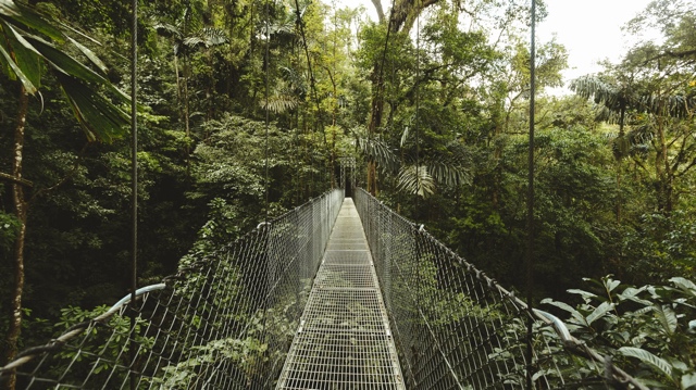 Costa Rica photograph