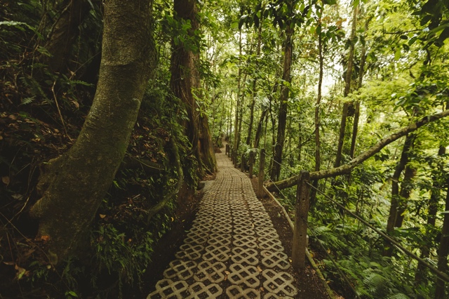 Costa Rica photograph