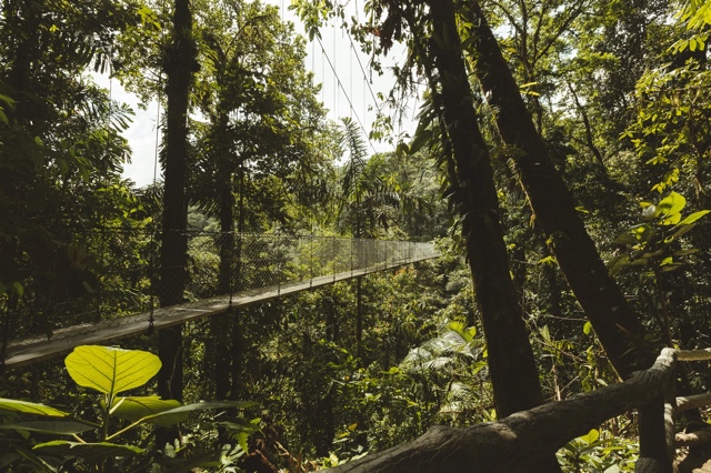 Costa Rica photograph