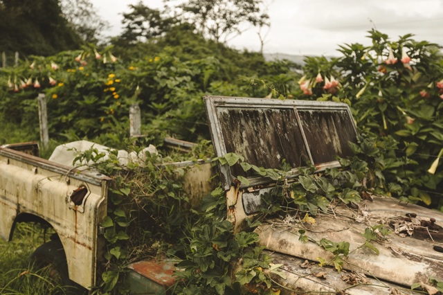 Costa Rica photograph