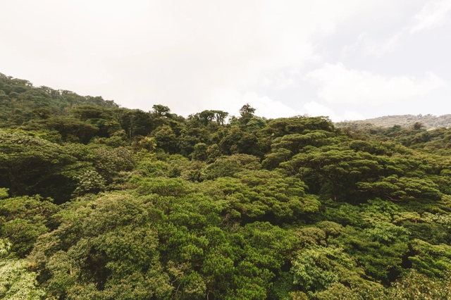 Costa Rica photograph