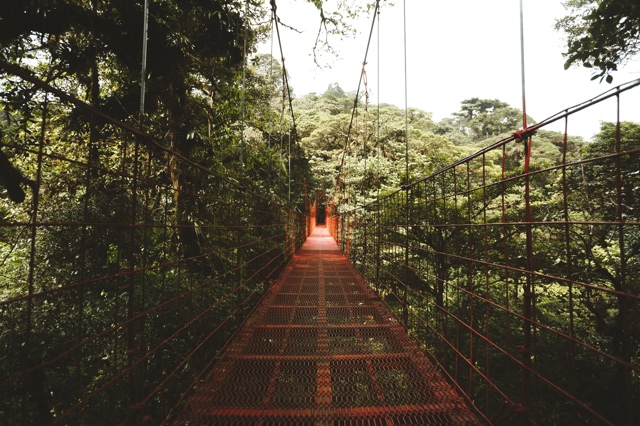 Costa Rica photograph