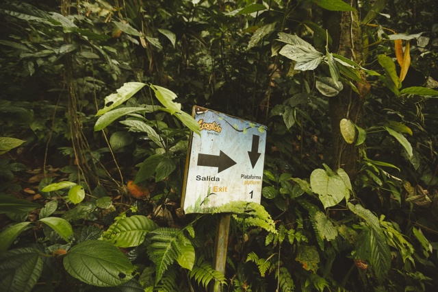 Costa Rica photograph