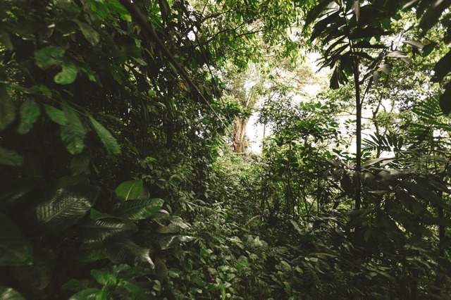 Costa Rica photograph