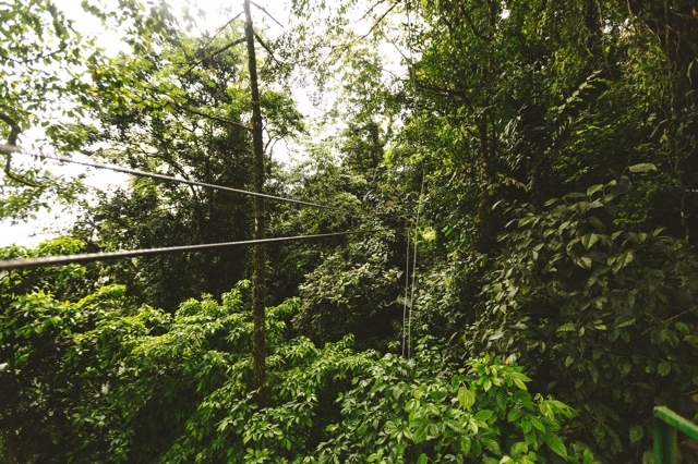 Costa Rica photograph