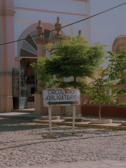 Jalisco, Mexico photograph
