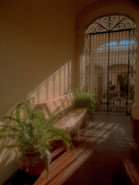 Jalisco, Mexico photograph
