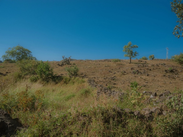 Jalisco, Mexico photograph