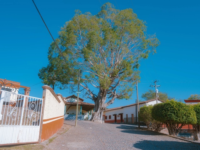 Jalisco, Mexico photograph