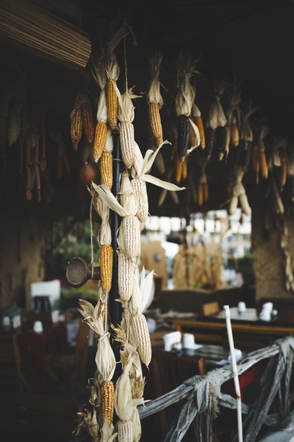 Jalisco, Mexico photograph