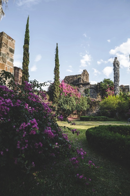 Jalisco, Mexico photograph