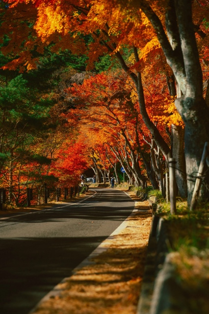 Japan photograph