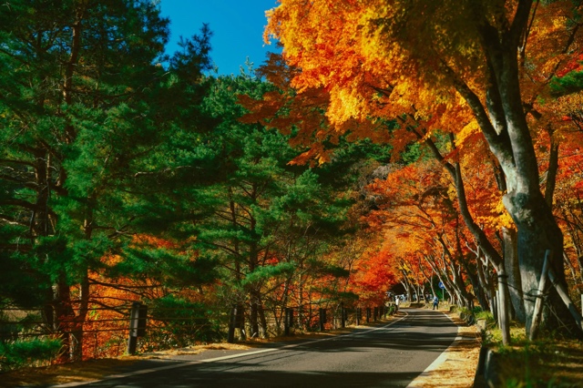 Japan photograph