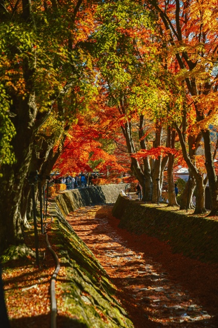 Japan photograph