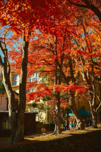 Japan photograph