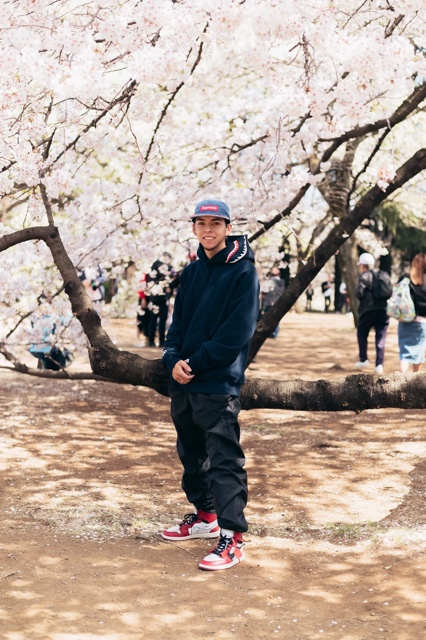 Japan photograph