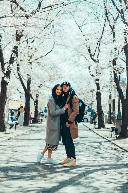 Japan photograph