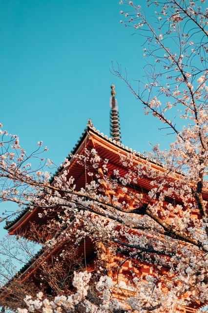 Japan photograph