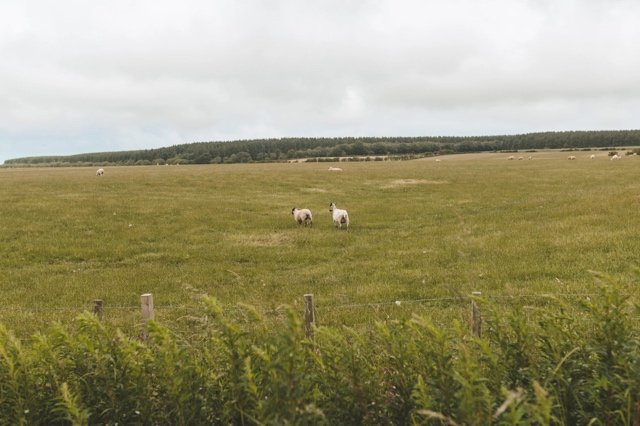 Scotland photograph