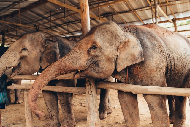 Thailand photograph