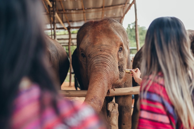 Thailand photograph