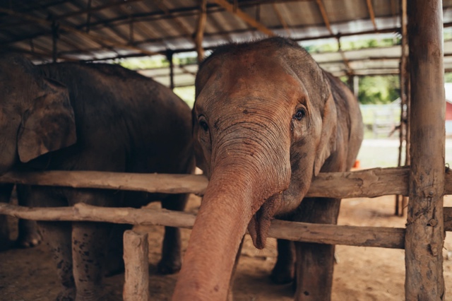 Thailand photograph