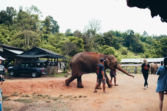 Thailand photograph